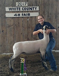 Winners