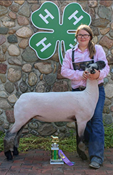 Plank Sheep Co. Winners