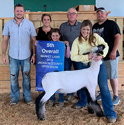 Plank Sheep Co. Winners