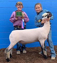 Plank Sheep Co. Winners