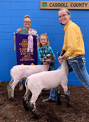 Plank Sheep Co. Winners