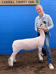 Plank Sheep Co. Winners