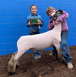 Plank Sheep Co. Winners