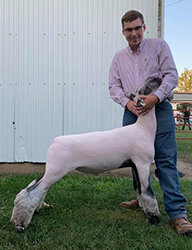 PlankSheep Co. Winners