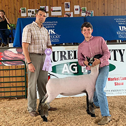 Plank Sheep Co. Winners