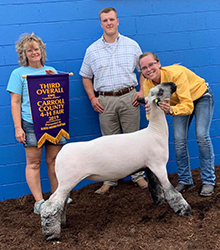 Plank Sheep Co. Winners