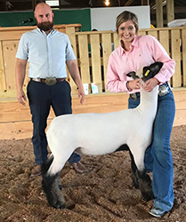 Plank Sheep Co. Winners