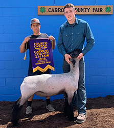 Plank Sheep Co. Winners