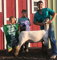 Plank Sheep Co. Winners