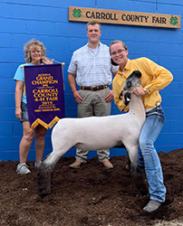 Plank Sheep Co. Winners