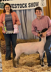 Plank Sheep Co. Winners