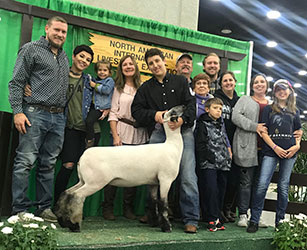 Plank Sheep Co. Winners