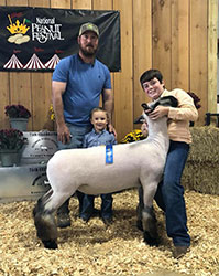 Plank Sheep Co. Winners