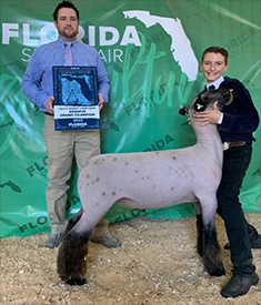 Plank Sheep Co. winners